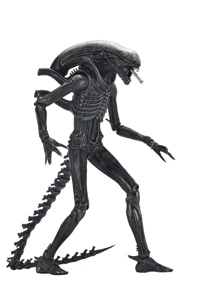 Alien - Romulus Ultimate Xenomorph XX121 18 cm Actionfigur NECA