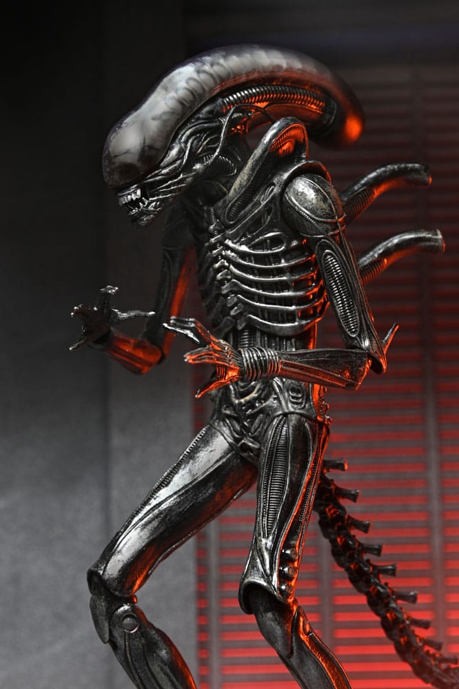 Alien - Romulus Ultimate Xenomorph XX121 18 cm Actionfigur NECA