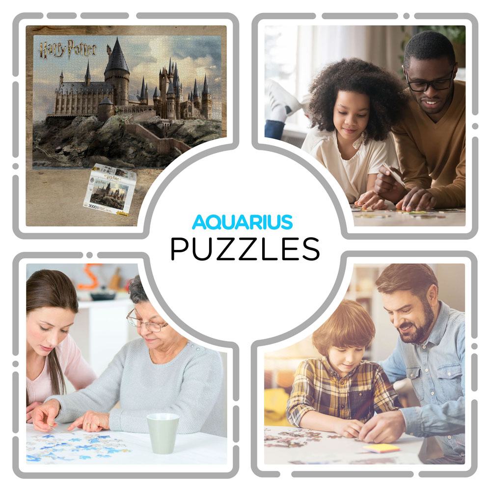 Aquarius Harry Potter Hogwarts (3000 Teile) Puzzle