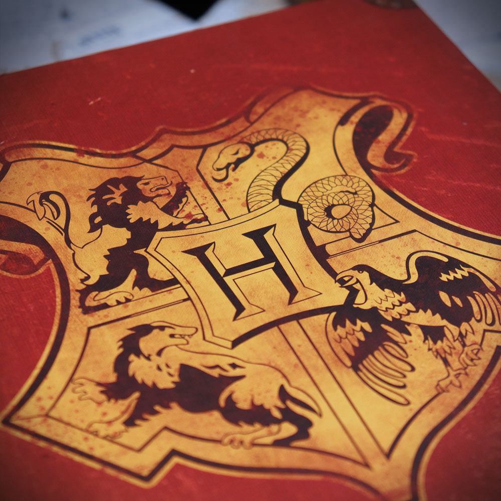 FaNaTtik Harry Potter Harry Potter’s Journey to Hogwarts Collector Geschenkbox Collection