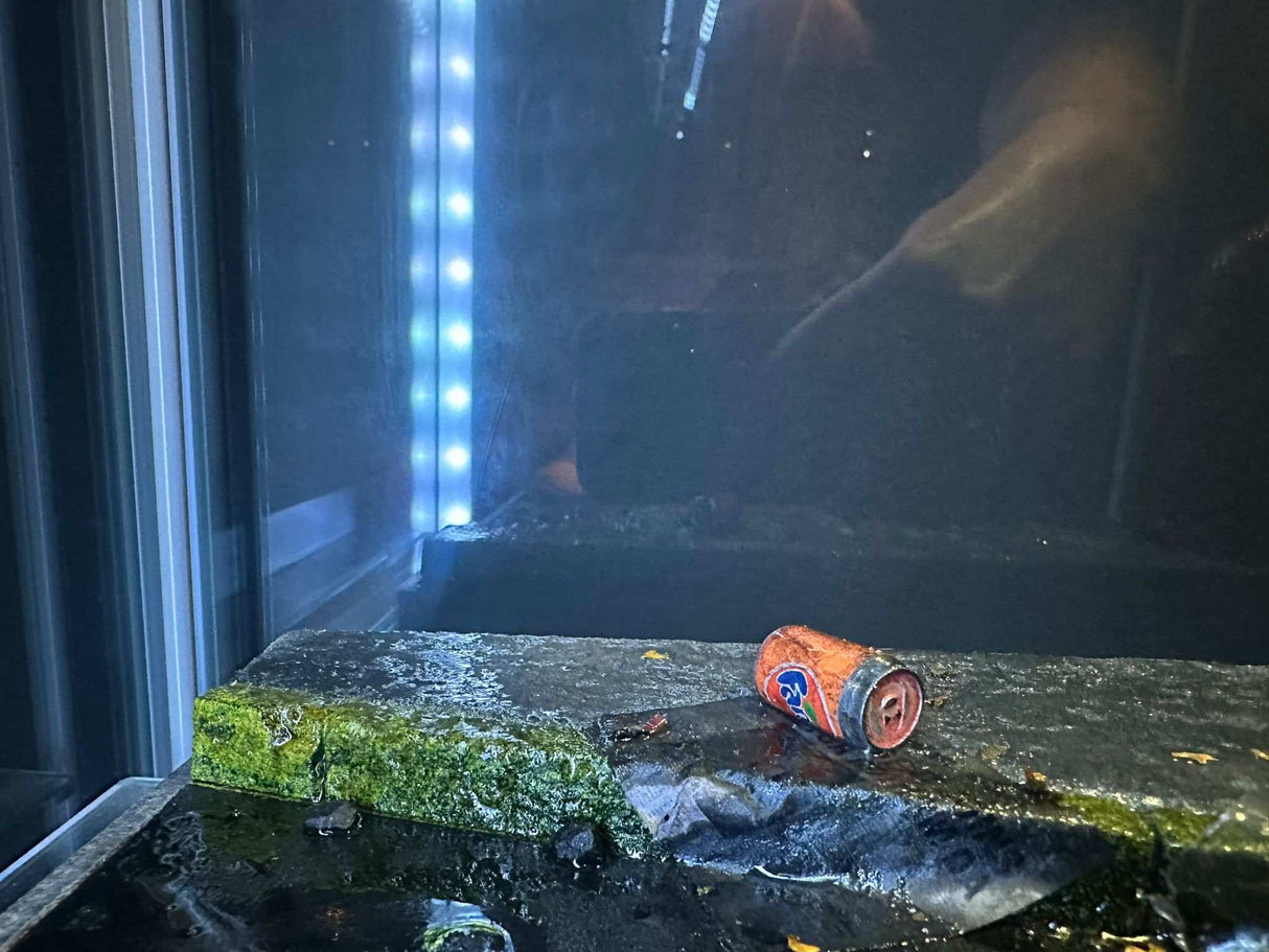 Flos Dios Custom Diorama-Base für 1/6 Actionfiguren