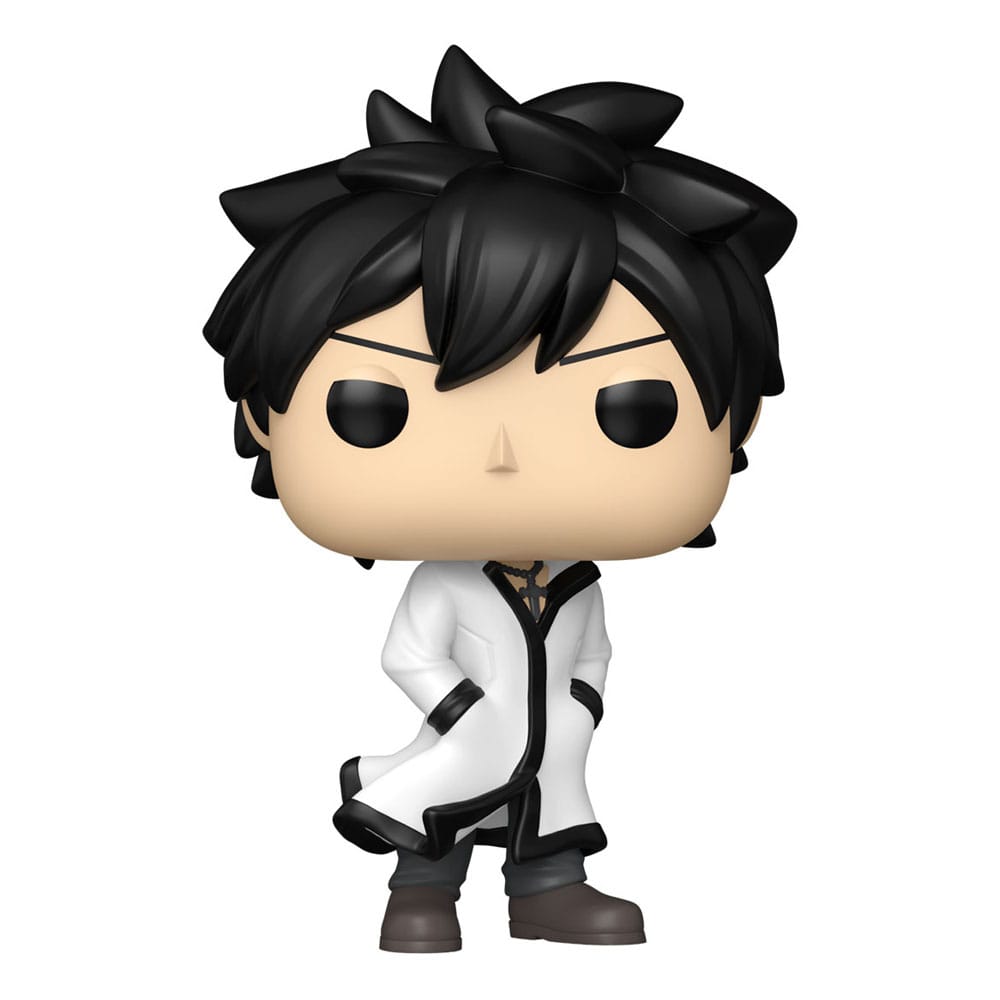 Funko Fairy Tail 100 Year Quest Gray w/Chase Sortiment (6) POP! Animation Vinyl Figuren