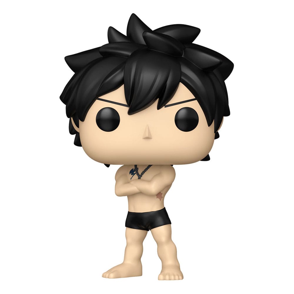 Funko Fairy Tail 100 Year Quest Gray w/Chase Sortiment (6) POP! Animation Vinyl Figuren