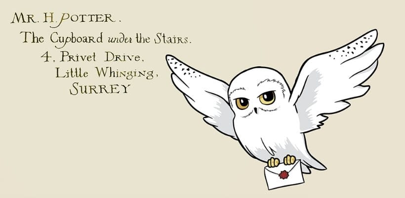Grupo Erik Harry Potter Premium Hedwig 444 ml Tasse