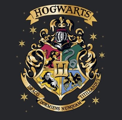 Grupo Erik Harry Potter Premium Hogwarts 444 ml Tasse