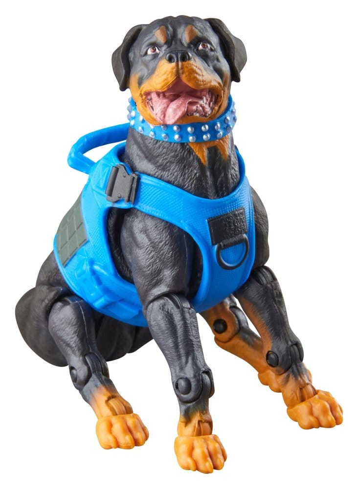 Hasbro G.I. Joe Classified Series Mad Marauders Footloose Mutt Junkyard 3er-Pack Actionfiguren