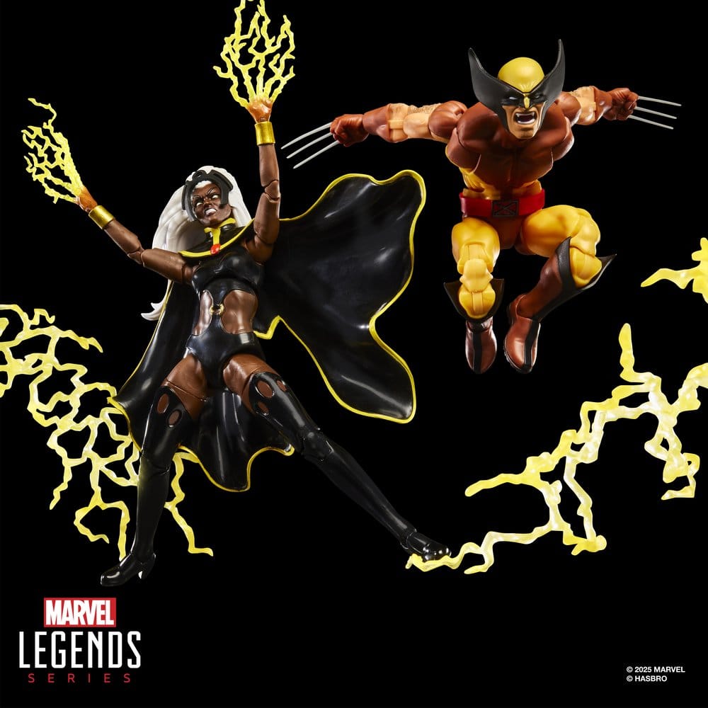 Hasbro Marvel Legends Storm & Wolverine 2er-Pack Actionfiguren