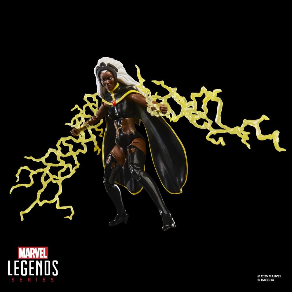 Hasbro Marvel Legends Storm & Wolverine 2er-Pack Actionfiguren