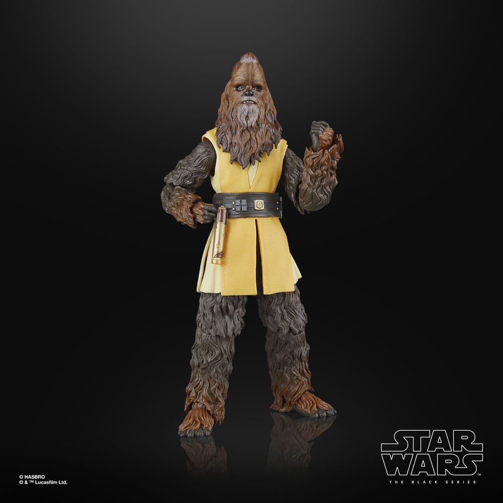 Hasbro Star Wars The Acolyte Black Series Jedi Master Kelnacca Actionfigur