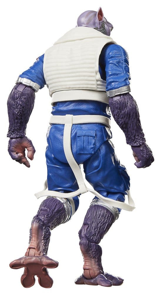 Hasbro Star Wars The Mandalorian & Grogu Black Series Garazeb Zeb Orrelios Actionfigur