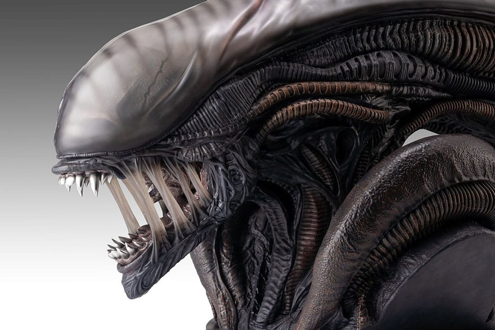 Hollywood Collectibles Group Alien Romulus Xenomorph 1/1 Büste