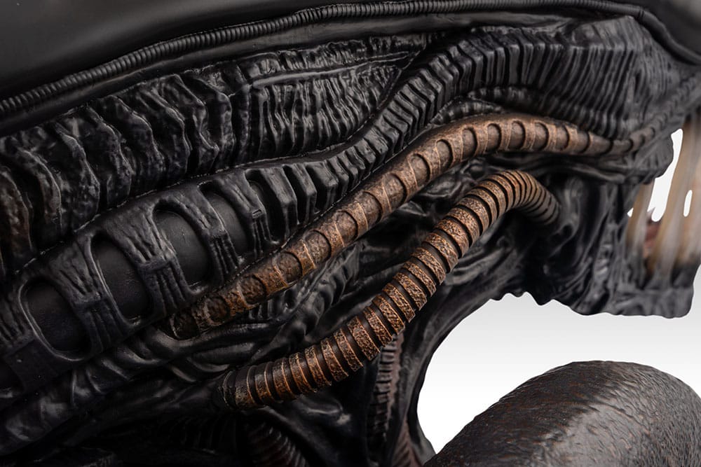 Hollywood Collectibles Group Alien Romulus Xenomorph 1/1 Büste