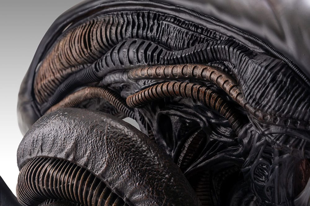 Hollywood Collectibles Group Alien Romulus Xenomorph 1/1 Büste