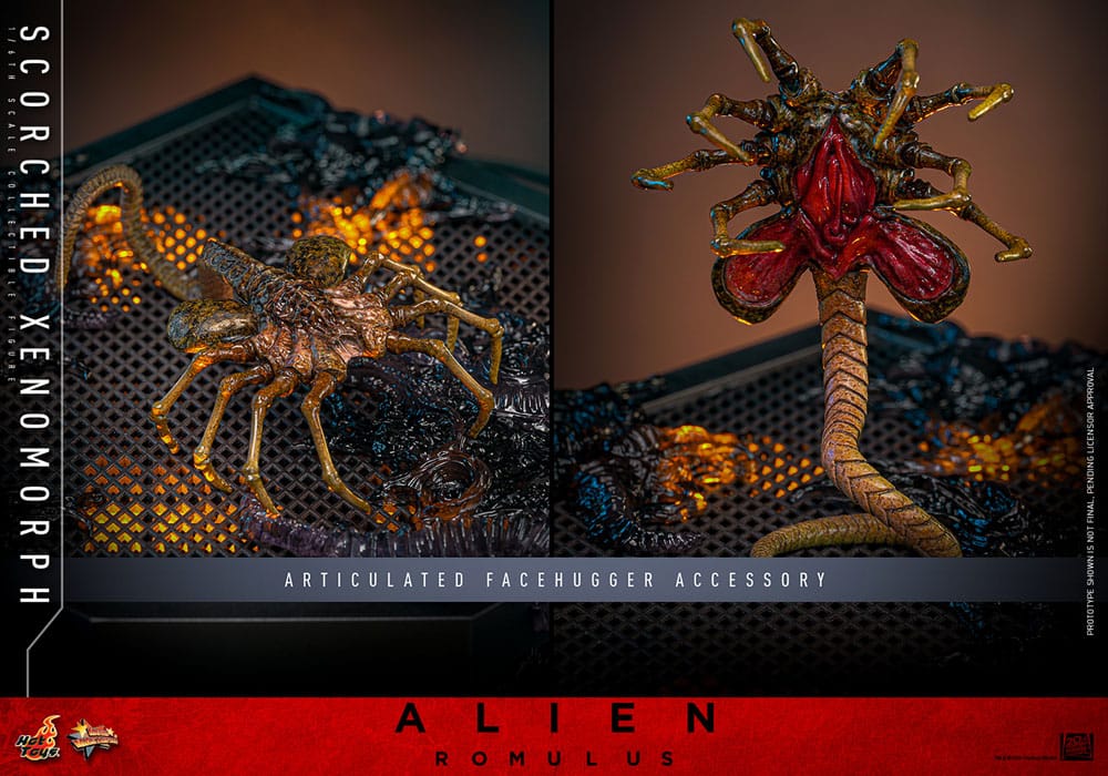 Hot Toys Alien - Romulus Scorched Xenomorph Movie Masterpiece 44 cm 1/6 Actionfigur