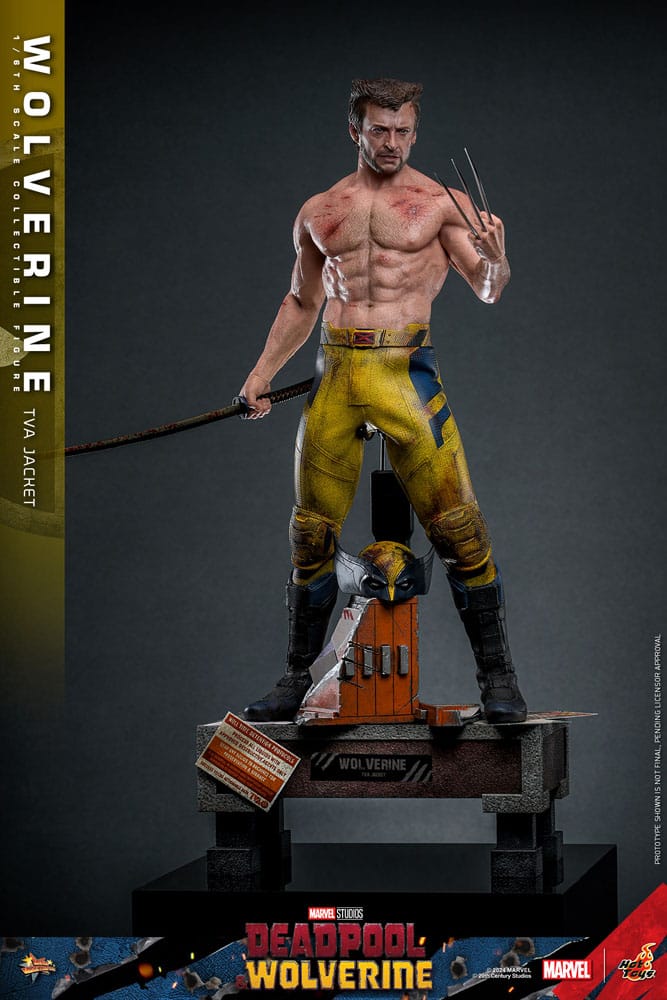 Hot Toys Deadpool & Wolverine Wolverine (TVA Jacket Version) 1/6 Actionfigur