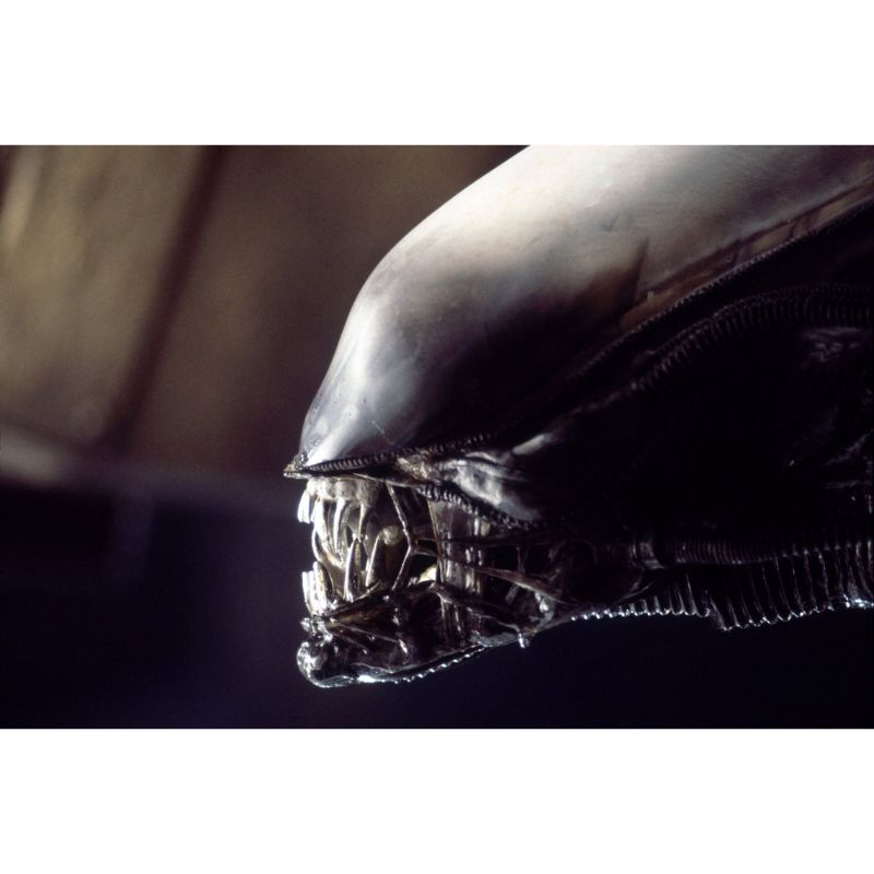 LEONINE Alien 1 4K Ultra HD & Blu-ray