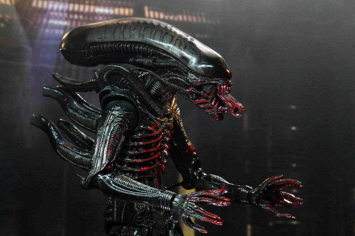 NECA Alien - Bloody Xenomorph 40th Anniversary (Wave 2) Actionfigur