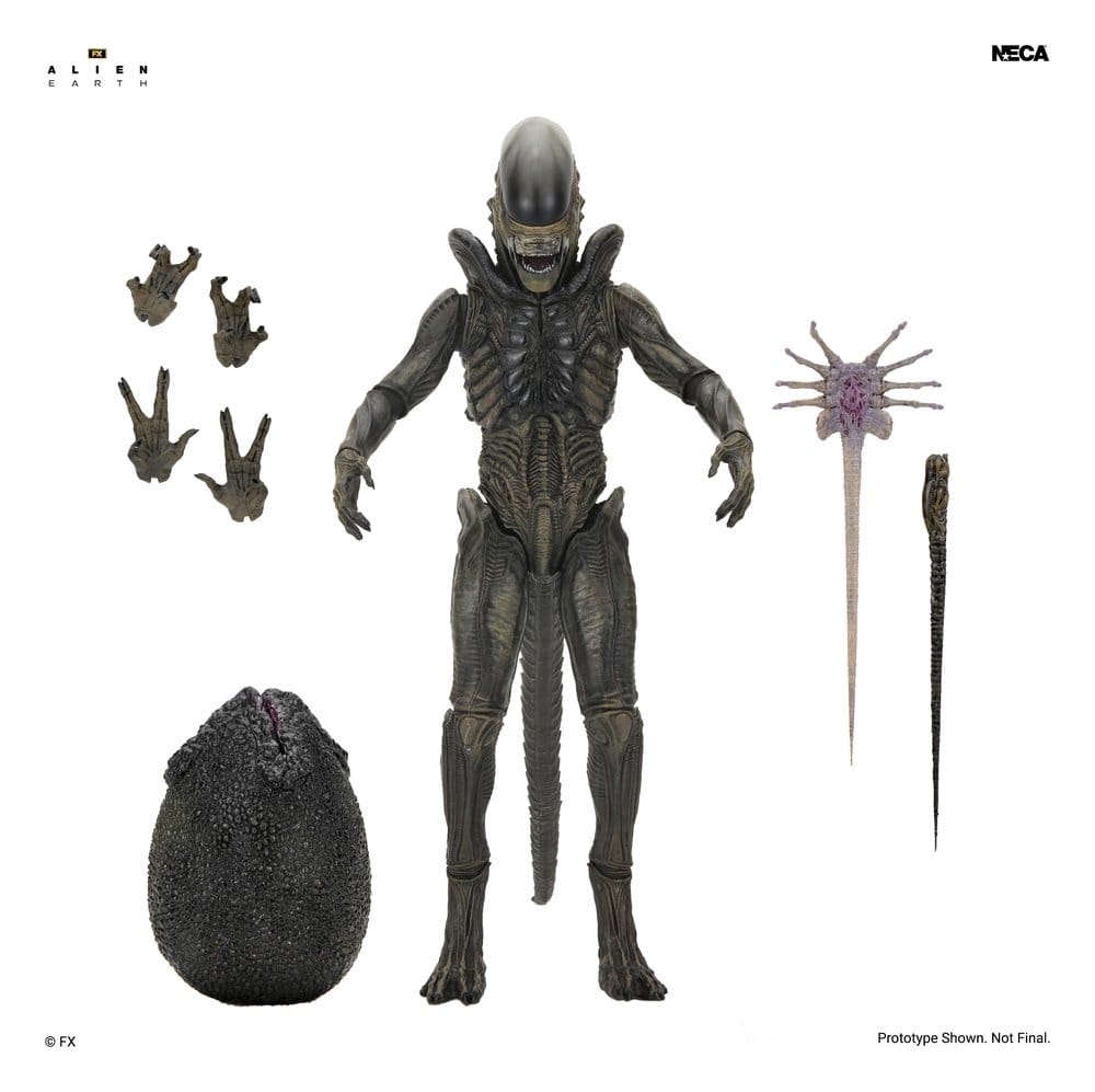 NECA Alien Earth Ultimate Xenomorph Actionfigur