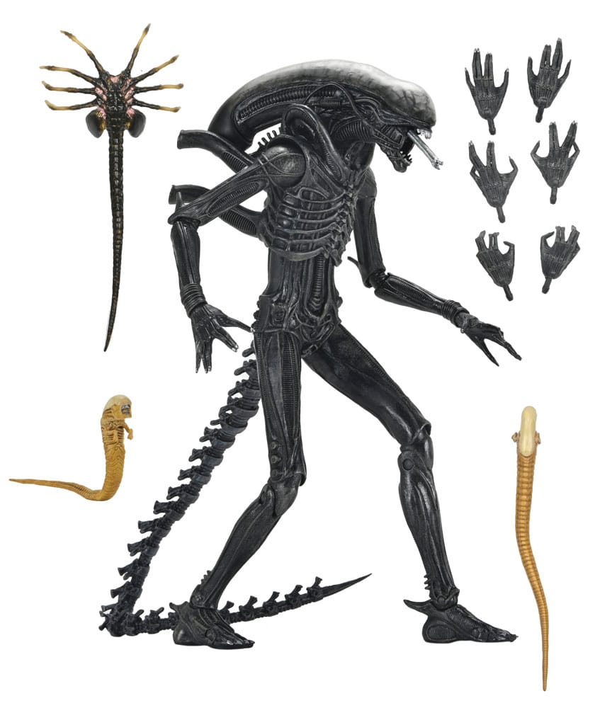 NECA Alien - Romulus Ultimate Xenomorph XX121 Actionfigur