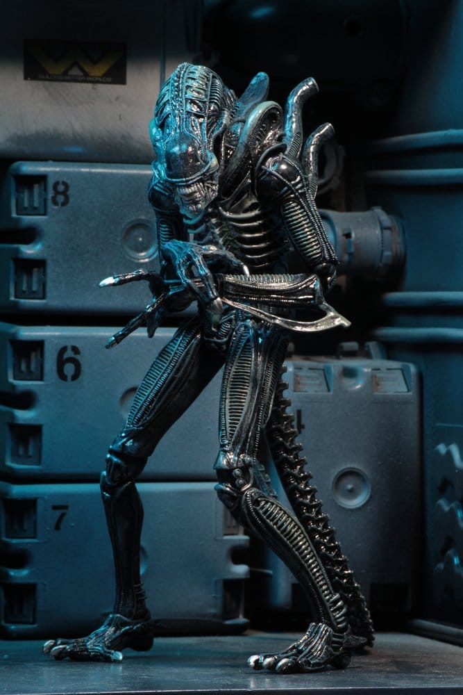 NECA Aliens Ultimate Actionfigur Warrior (1986) Blue 23 cm