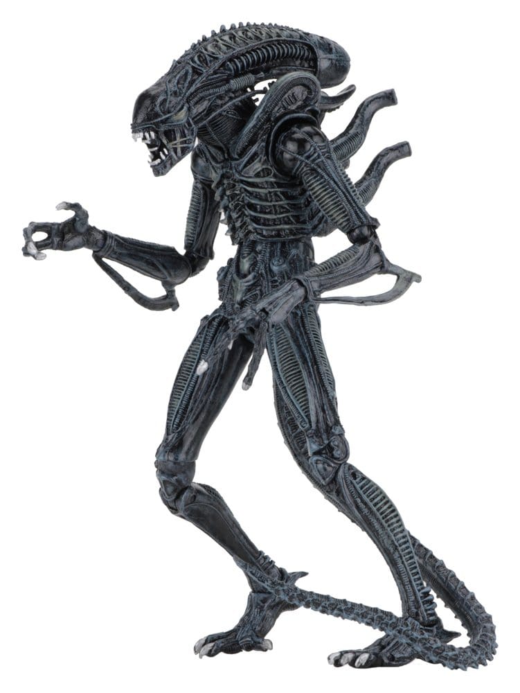 NECA Aliens Ultimate Actionfigur Warrior (1986) Blue 23 cm