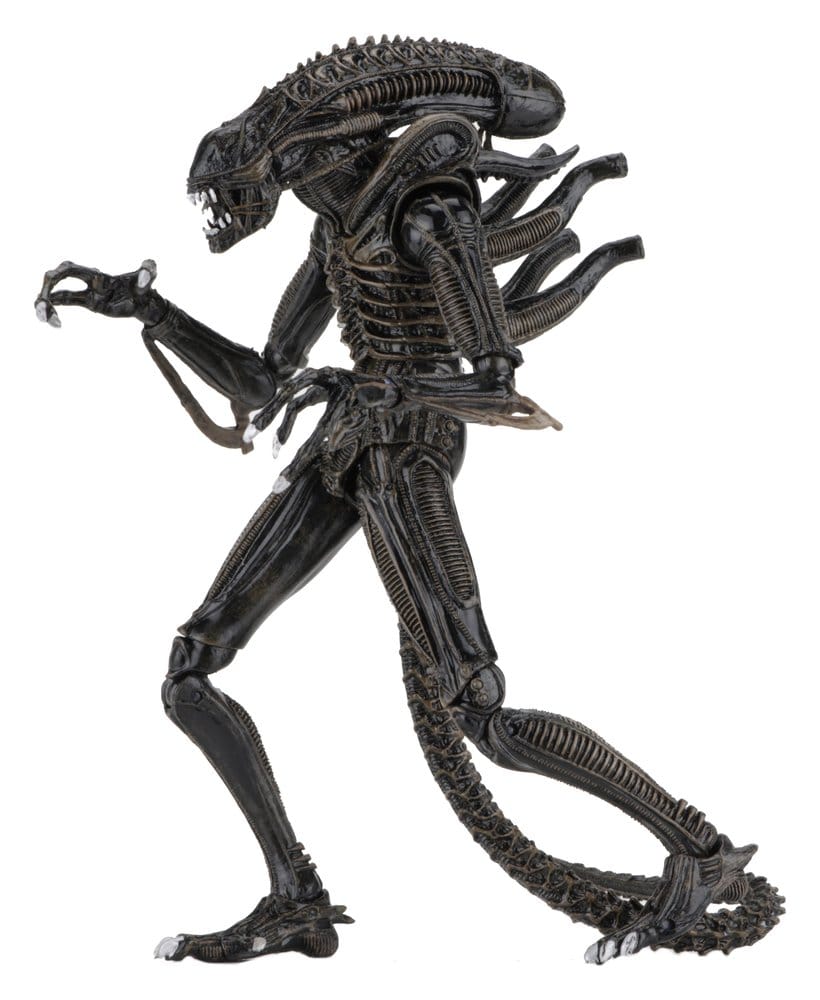 NECA Aliens Ultimate Actionfigur Warrior (1986) Brown 23 cm