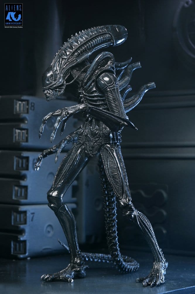 NECA Aliens Ultimate Actionfigur Warrior (1986) Xenomorph Black (40th Anniversary) 23 cm