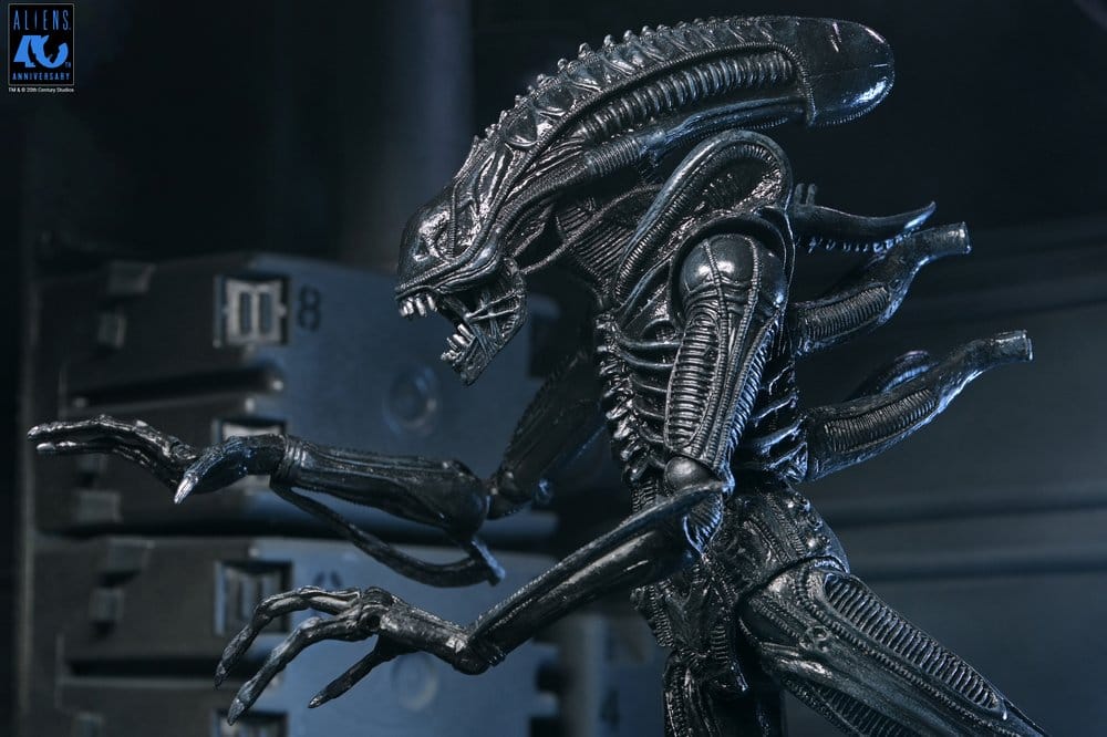 NECA Aliens Ultimate Actionfigur Warrior (1986) Xenomorph Black (40th Anniversary) 23 cm