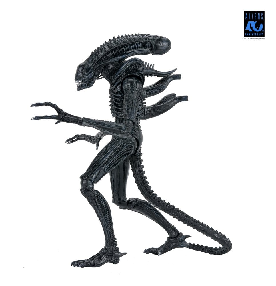 NECA Aliens Ultimate Actionfigur Warrior (1986) Xenomorph Black (40th Anniversary) 23 cm