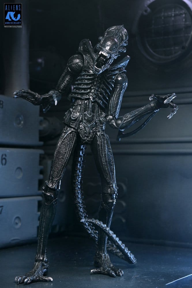 NECA Aliens Ultimate Actionfigur Warrior (1986) Xenomorph Black (40th Anniversary) 23 cm