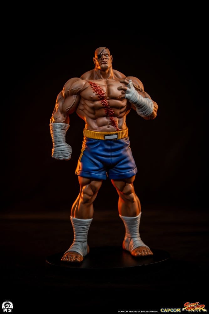 Premium Collectibles Studio Street Fighter Sagat & Juli Street Jam 1/10 Statuen