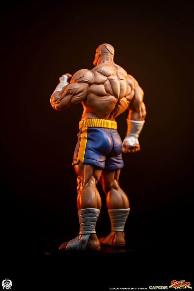 Premium Collectibles Studio Street Fighter Sagat & Juli Street Jam 1/10 Statuen