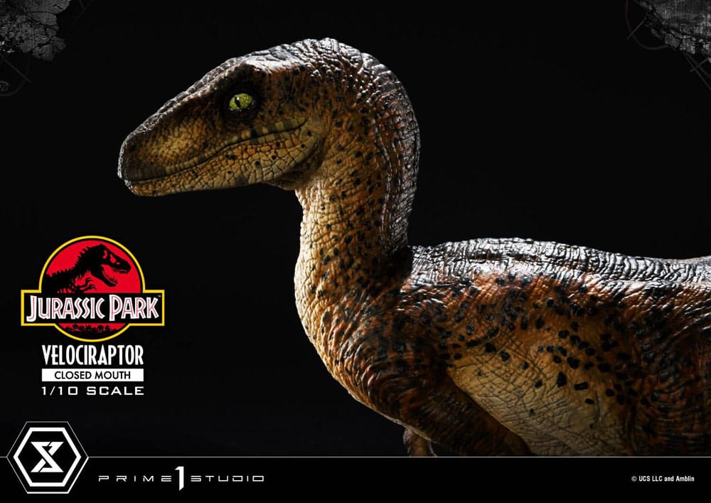 Prime 1 Studio Jurassic Park Velociraptor Closed Mouth 1/10 Statue
