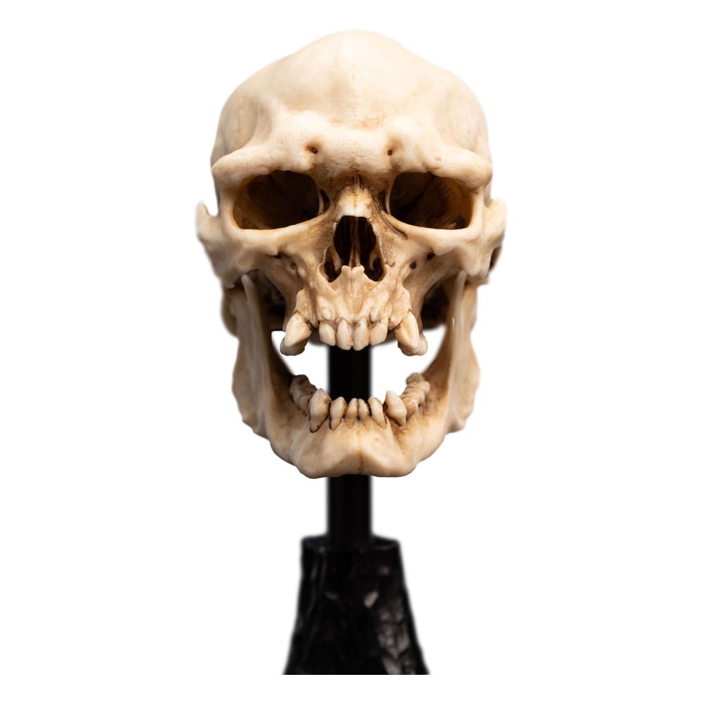 Weta Workshop Herr der Ringe Mini Statue Skull of a Mordor Orc 14 cm