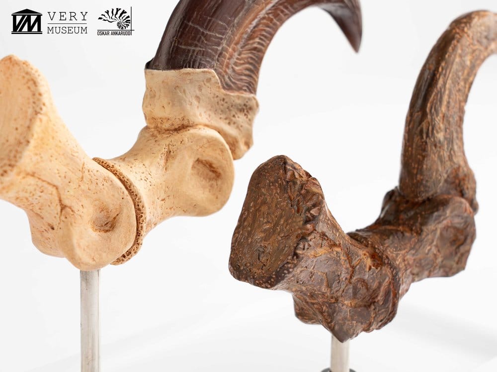 Jurassic Park Velociraptor Foot And Fossil Claw Set ECC Elite Creature Line Statue