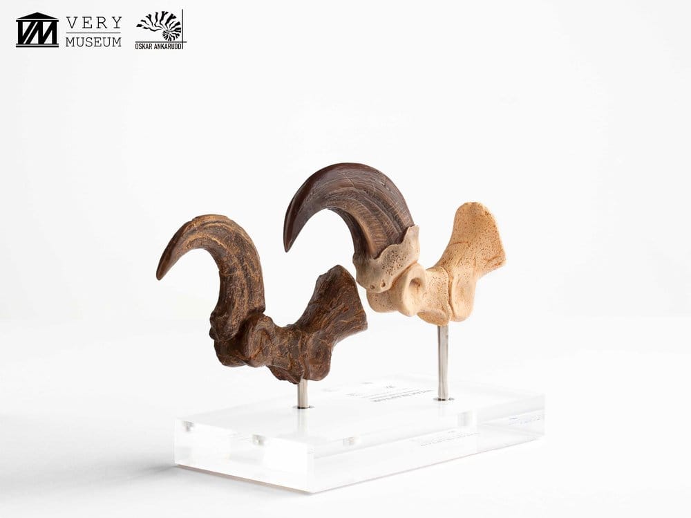 Jurassic Park Velociraptor Foot And Fossil Claw Set ECC Elite Creature Line Statue
