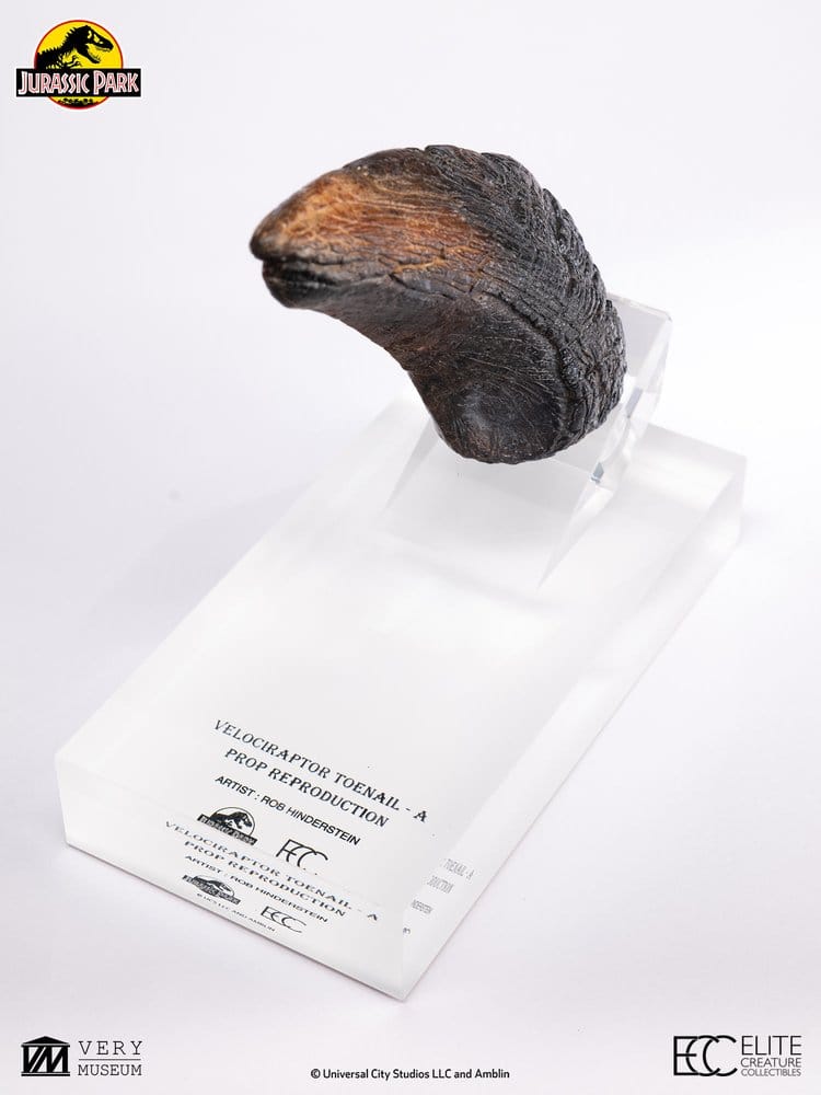 Jurassic Park Velociraptor Toenail Type A 1/1 Replik