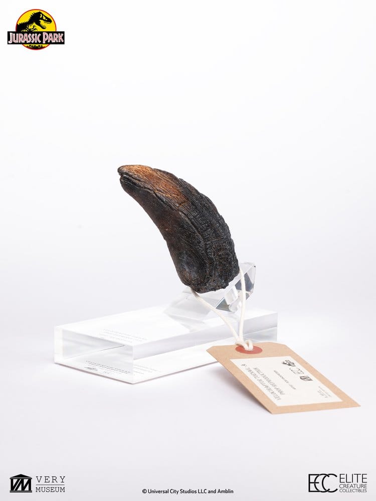 Jurassic Park Velociraptor Toenail Type A 1/1 Replik