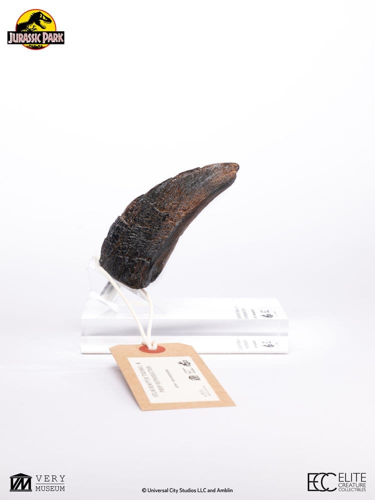 Jurassic Park Velociraptor Toenail Type A 1/1 Replik