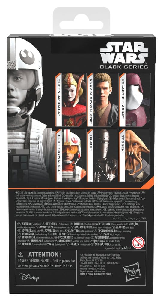 Star Wars Episode IV Luke Skywalker (X-Wing Pilot) Black Series Actionfigur