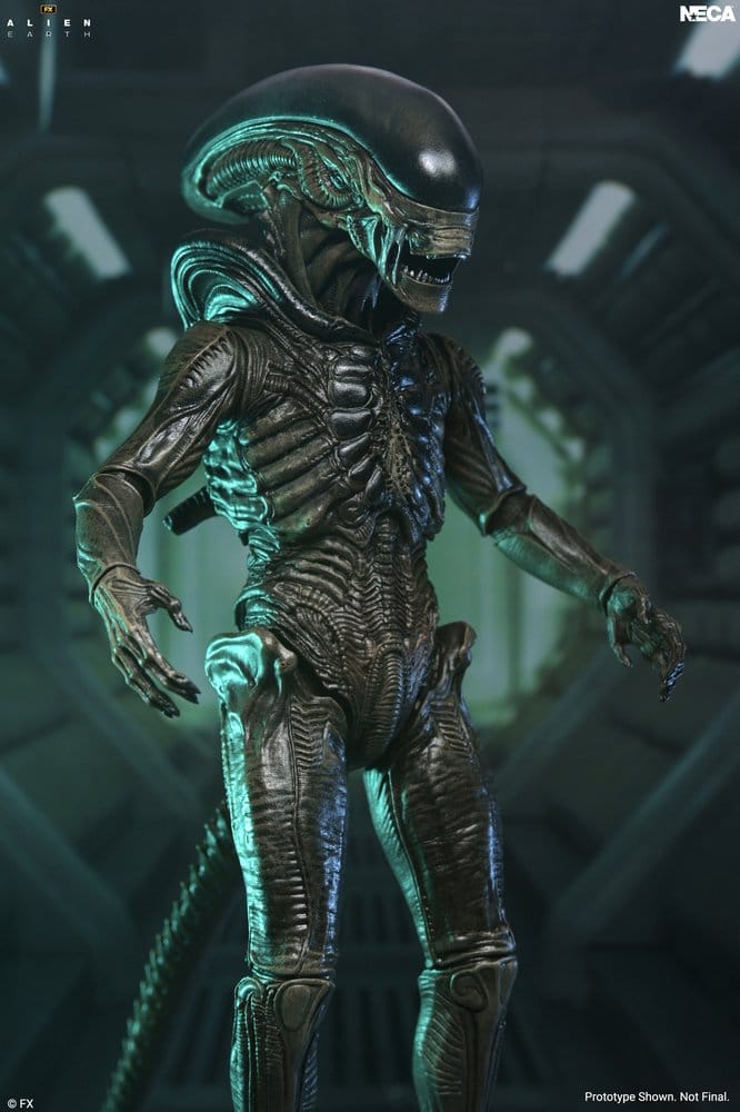 Alien Earth Ultimate Xenomorph Actionfigur