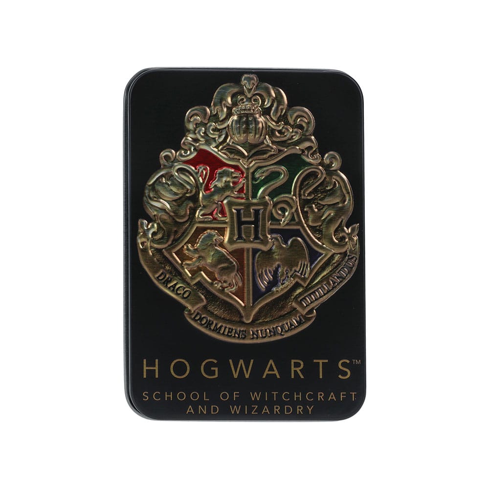 Harry Potter Hogwarts Spielkarten