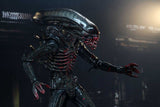 Alien - Bloody Xenomorph 40th Anniversary (Wave 2) 23 cm Actionfigur