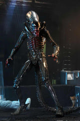 Alien - Bloody Xenomorph 40th Anniversary (Wave 2) 23 cm Actionfigur