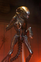 Alien Romulus Ultimate Scorched Xenomorph Actionfigur
