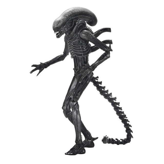 Alien - Romulus Ultimate Xenomorph XX121 18 cm Actionfigur NECA