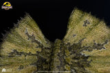 Elite Creature Collectibles Jurassic Park Dilophosaurus 1/3 Maquette
