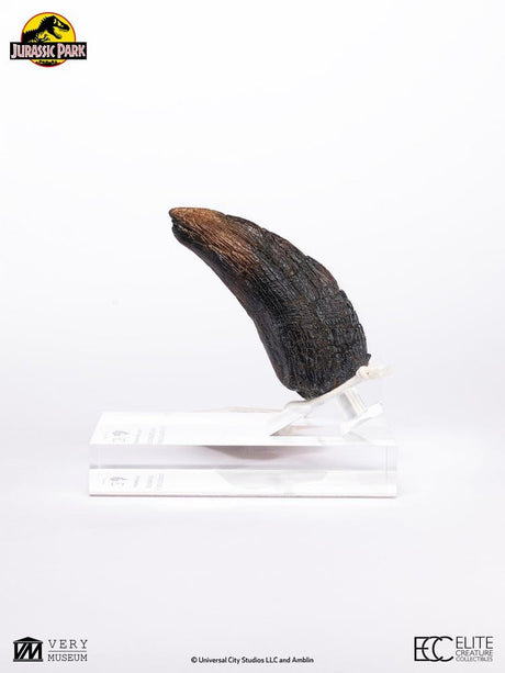 Elite Creature Collectibles Jurassic Park Velociraptor Toenail Type A 1/1 Replik