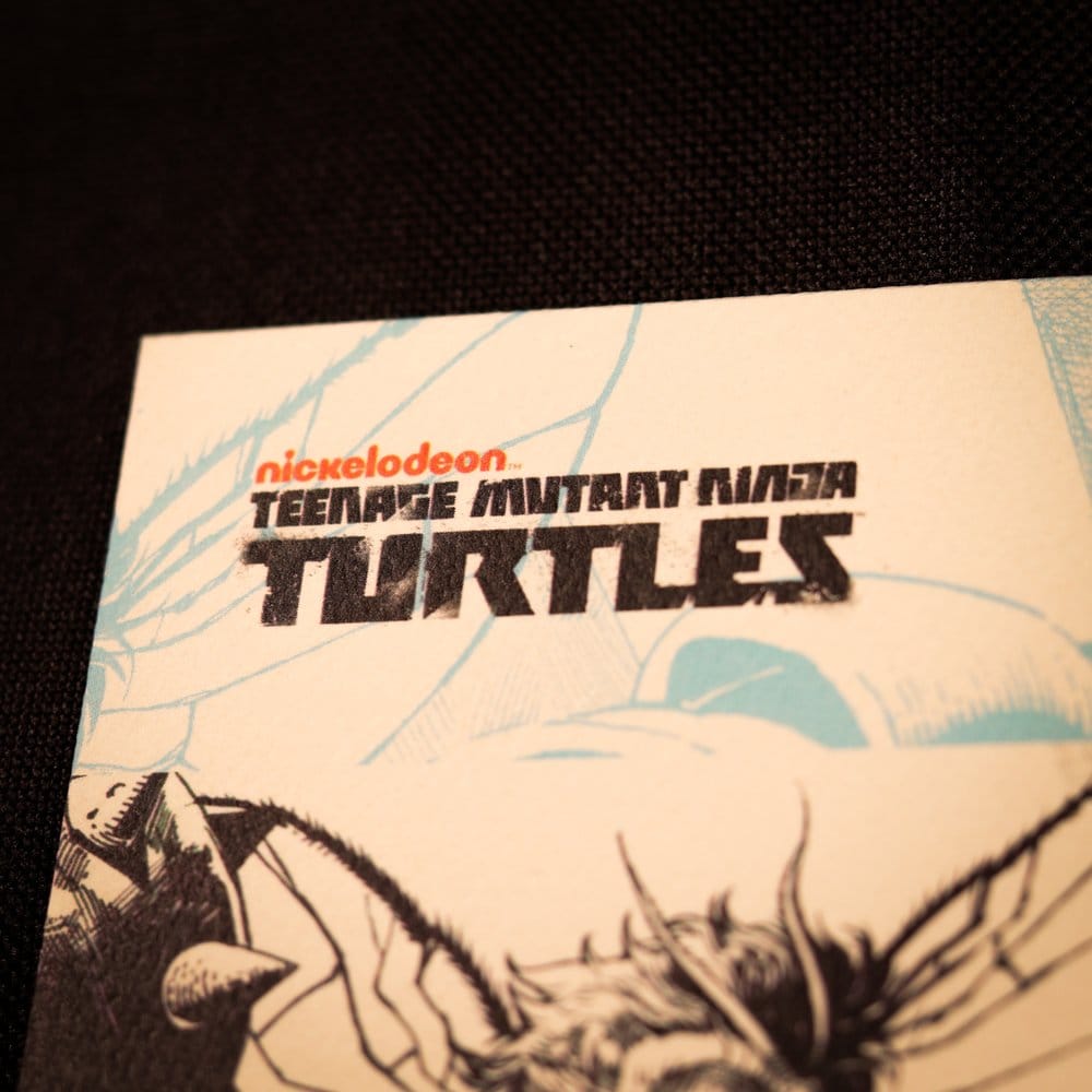 FaNaTtik Teenage Mutant Ninja Turtles Comic Limited Edition Kunstdruck