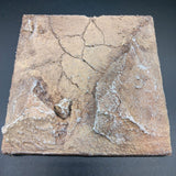 Flos Dios Felsige Wüstenlandschaft Diorama-Base für 1/6 Actionfiguren